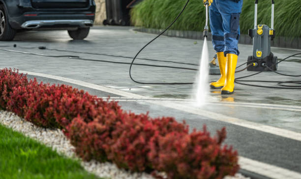 Best Building Exterior Washing  in Stamps, AR